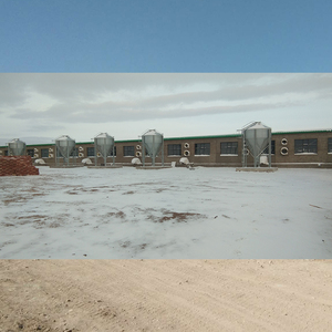Silo de stockage galvanisé en promotion, capacité de 3 à 30 tonnes, pour l'élevage de poulets et le stockage de céréales - Product Image 6