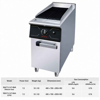 Barbecue au gaz JUSTA avec base en acier inoxydable pour restaurant, 5000-10000W, garantie 1 an