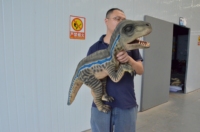 Marionnette de dinosaure animatronique, marionnette personnalisée, marionnette réaliste de bébé dinosaure, modèle de dinosaure animatronique