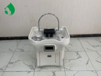 Yimei 5.0 Lavabo mobile pour spa capillaire, sans plomberie, bac à shampoing, grand réservoir de stockage d'eau et réservoir d'eaux usées avec unité de vapeur pour salon
