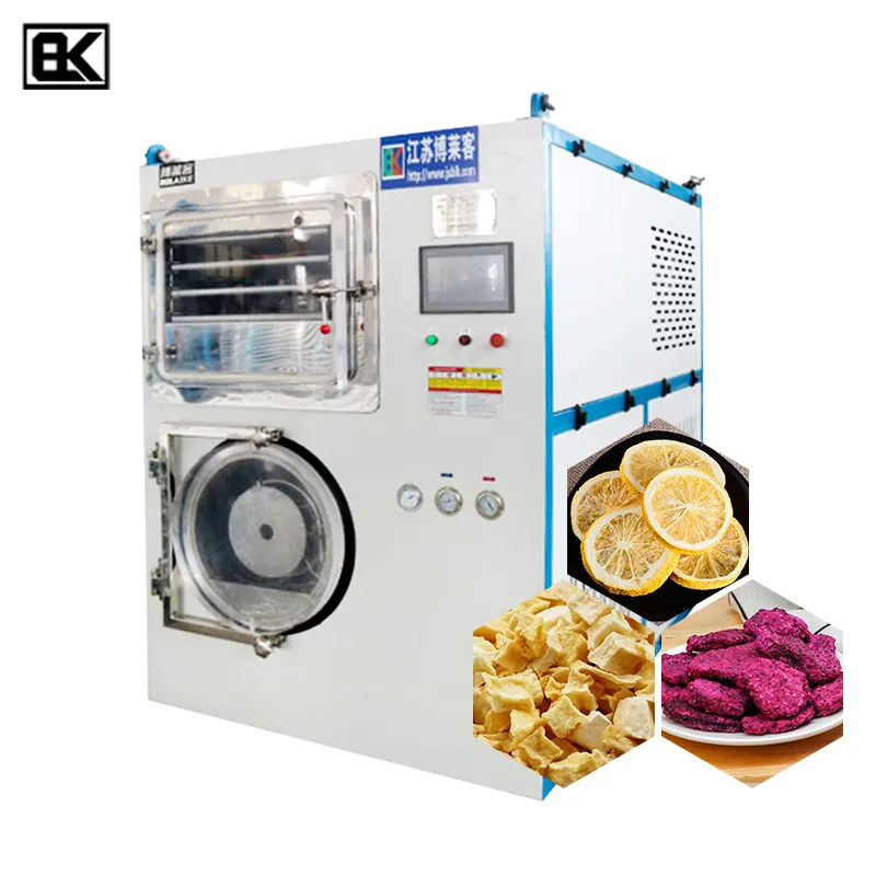 New latest vacuum freeze dryer for Strawberry kiwi banana durian star fruit 10kgs freeze drying machine