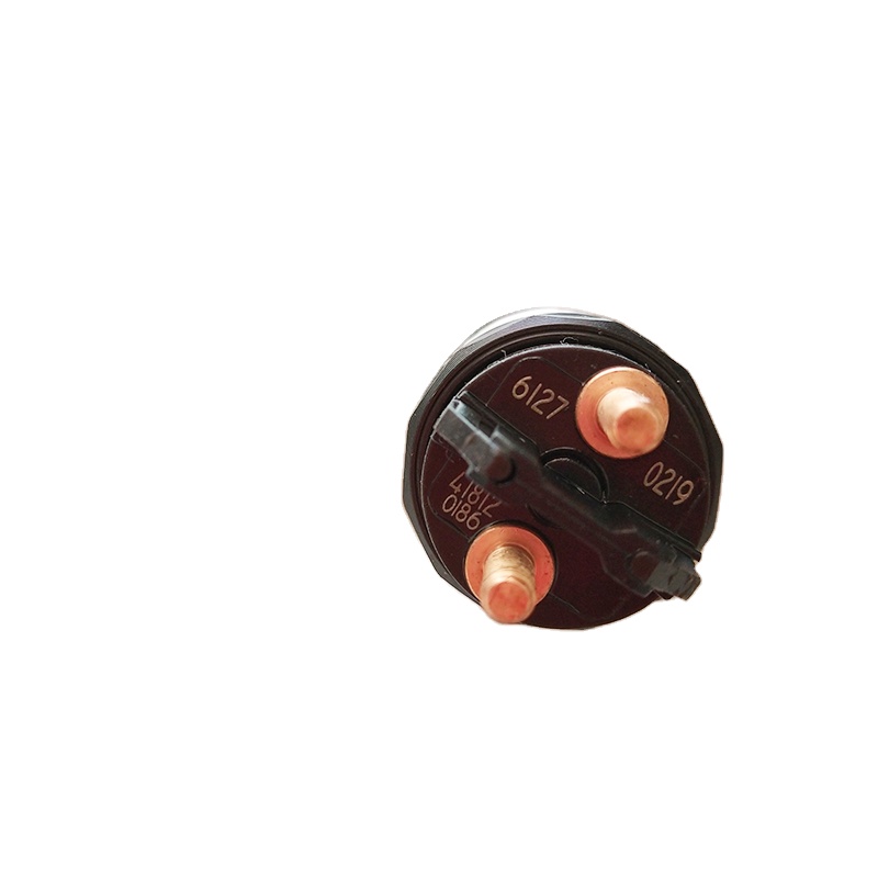diesel pump injector 0445120219 fuel diesel  nozzle injection 0 445 120 219 for MAN sprayer nozzle  diesel injector