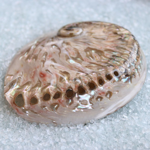 12-14cm đánh bóng sọc màu vỏ bào ngư vỏ tự nhiên & ốc xà cừ trang trí nhà đám cưới cảnh quan trang trí đốt Sage vỏ - Product Image 4