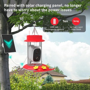 Mangeoire à colibris AI avec caméra intelligente solaire WiFi étanche de 5 millions de pixels, modèle PT010105RD pour oiseaux en vol - Product Image 4