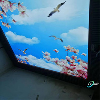 Diseños de Techo Pop LeArt para Vestíbulo, Foto 3D, Diseños de Plafón con Ilusión Óptica
