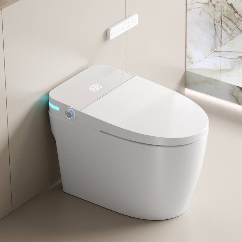 Modern Smart Toilet Bidet Touchless Sanitary