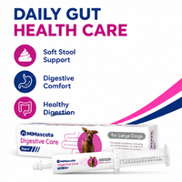 Gel Probiotique Rapide pour Chiens - Soin Digestif - Ingrédients à Action Rapide - Absorption Rapide - Saveurs Entièrement Naturelles - Pour Grands Chiens