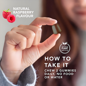 OEM 천연 비건 버섯 추출물 구미 유기농 사자 갈기 버섯 구미인지 뇌 건강을 지원합니다 - Product Image 3