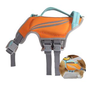 Hetai Tùy Chỉnh Thân Thiện Với Môi Cao Su Tổng Hợp Con Chó Khai Thác Thiết Lập Mềm Độn Có Thể Điều Chỉnh Khai Thác Phụ Kiện Lớp Đúc - Product Image 1