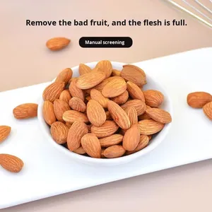 <span class=keywords><strong>Almendras</strong></span> Secas a Granel de Alta Calidad con Certificación HACCP e ISO, <span class=keywords><strong>Fruta</strong></span> Deshidratada en Bolsas de 500g, Refrigerios Horneados para Mujeres Embarazadas, Venta al por Mayor - Product Image 4