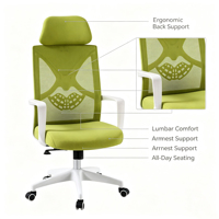 Chaises de bureau pivotantes en maille verte de luxe en gros, chaises de bureau ergonomiques modernes et confortables pour cadres