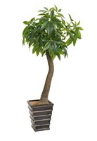 Offre Spéciale arbre d'argent de haute qualité, fausse plante artificielle, arbre riche en plastique, Simulation artificielle, décoration rouge, arbustes
