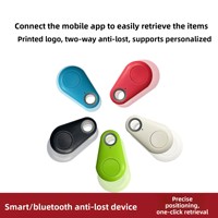 Traceur GPS 4G intelligent Bluetooth anti-perte en gros avec mini-dispositif, coque de protection en silicone, pour animaux de compagnie (chats, chiens) et porte-clés