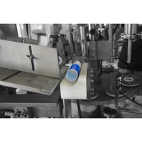 Équipement de remplissage et de scellage de tubes de crème et d'onguents aux normes GMP avancées 5-250 ml