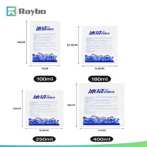 RAYBO İzoleli Soğuk Jel Soğutucu Çanta Su Enjeksiyonlu Dondurucu Kuru Buz Paketi Yiyeceklerin Taze Taşıma ve Teslimatı için - Product Image 5