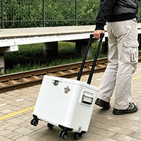Chariot isotherme roulant 40L/50L en métal, glacière à roulettes avec poignée de traction pour l'extérieur – Meilleures ventes