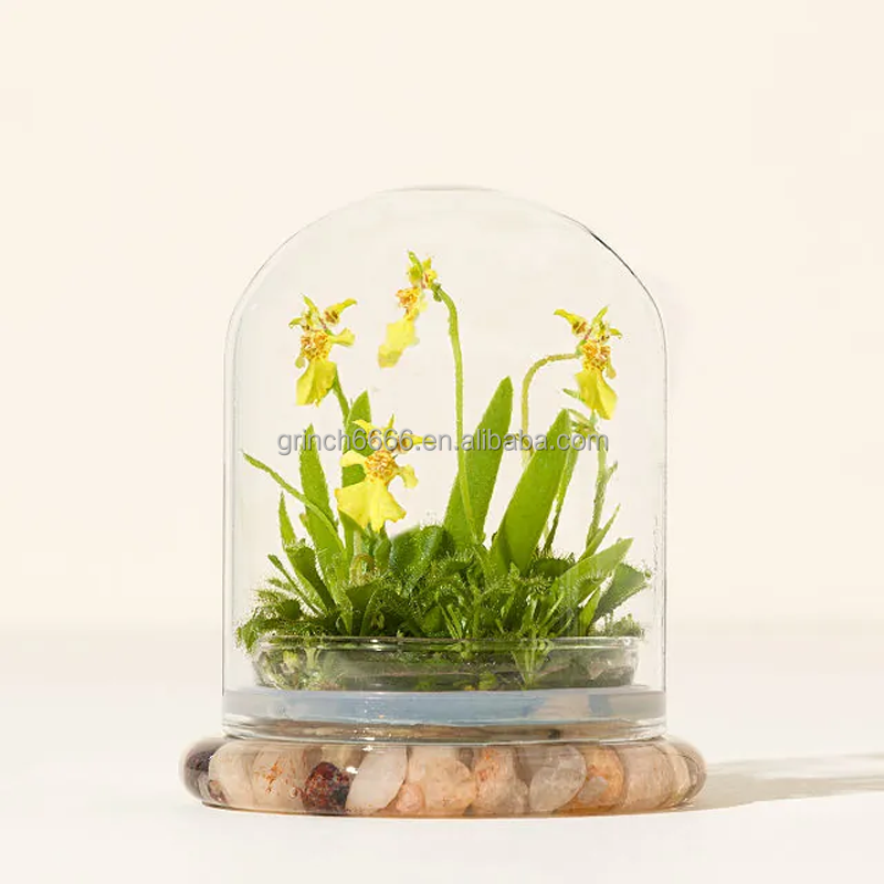 OEM Orchid Terrarium - Thumbnail 5