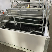 Cage de mise bas galvanisée de haute qualité pour élevage de porcs, enclos pour truies