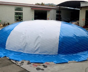 Aire <span class=keywords><strong>de</strong></span> jeux intérieure, trampoline, sac gonflable <span class=keywords><strong>de</strong></span> saut, pilier gonflable, airbag d'atterrissage, château <span class=keywords><strong>de</strong></span> parc d'attractions - Product Image 1