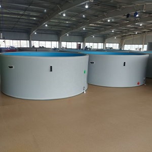 Bền PVC Hồ bơi bơm hơi lớn 5m Kích thước di động trên mặt đất không thấm nước thoải mái thiết kế tường tăng cường cms-cho D người sử dụng - Product Image 6