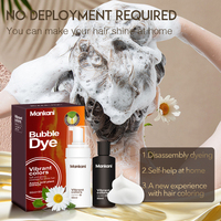 Colorant pour cheveux à bulles d'extrait de plantes sans ammoniaque, noir naturel, teinture rapide, OEM, fabrication en gros