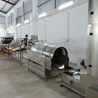 Machine automatique de fabrication de chips de banane longues 100 kg/h 200 kg/h 300 kg/h, ligne de production de friture de chips de banane plantain
