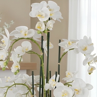Plante en pot d'orchidée Phalaenopsis blanche artificielle personnalisée de 60 cm, fleur au toucher réel, décoration de table pour la maison et le bureau