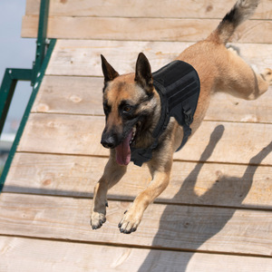 Tactical Dog Vest Nylon Waterproof Training Vest For Large Medium Dogs Agility Training Pet Gear - Product Image 1
