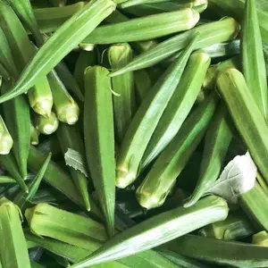Vente en gros de gombo végétal frais de Chine