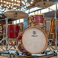 Batterie Hailun Jueshi Professionnelle en Érable Pommelé avec Cerclages Sonores Intégrés – Percussion de Haute Qualité Direct Usine BON MARCHÉ