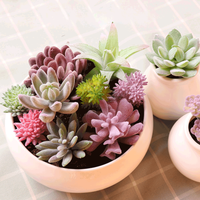 Assortiment de mini-succulentes au toucher réel Xuman Chenyang - Cactus artificiels résistants aux UV pour la décoration intérieure