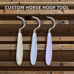 Cepillo de Plástico para Pezuñas de Caballo con Logotipo Personalizado, Calidad de Fábrica CST Pakistán, Venta al por Mayor - Product Image 2
