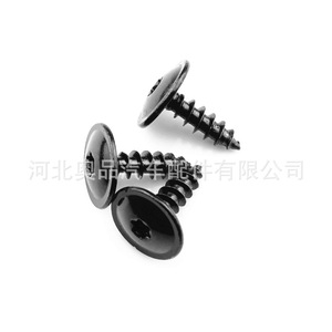 Tornillos T25 para Guardabarros de Volkswagen Audi N90974701N91160401, Repuestos de Reparación - Product Image 4