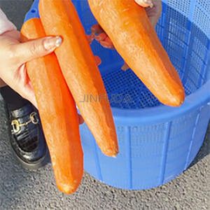 Éplucheuse <span class=keywords><strong>à</strong></span> carottes multifonctionnelle Éplucheuse <span class=keywords><strong>à</strong></span> asperges, laitue, igname, pour cuisine centrale Prix en vente - Product Image 6