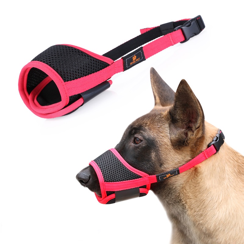 dog's mouth guard