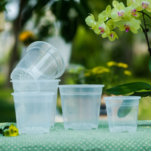 Gran oferta, maceta de plástico transparente para flores, <span class=keywords><strong>macetas</strong></span> para jardín, vivero, maceta de plástico transparente - Product Image 6