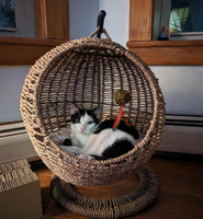 Panier de lit pour chat en osier tissé à la main rustique nid de maison pour petit chien chat avec coussin