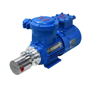 Magnet Ger Metering Pump Digunakan untuk Pengiriman Cairan Alkohol 1200L/H Kimia