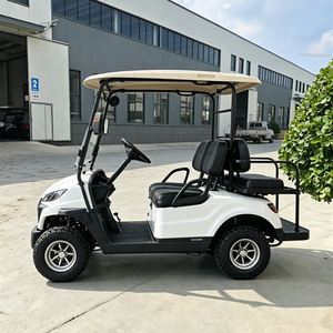 Nuevo Modelo D Carro de Golf Eléctrico de 2 Plazas con Estructura de Aluminio - Product Image 4