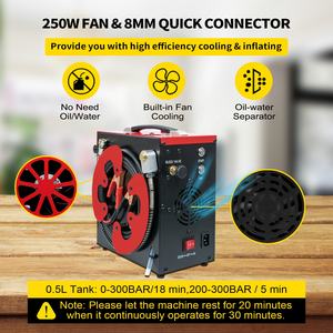 IGH ressure-regulador de presión de 30mpa 300bar 4500psi 250W lectrico - Product Image 3