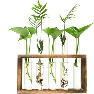 أنبوب الغراس مع حامل خشبي ، زجاج الغراس نشر محطة أنبوب اختبار الأواني إناء للنباتات المائية