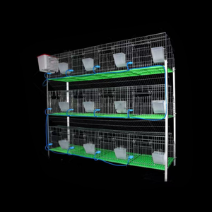 Tuổi thọ dài 12 tế bào Lồng thỏ thương mại Chăn Nuôi Thỏ chuyên nghiệp ở Châu Phi - Product Image 2