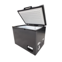 Congélateur coffre à porte supérieure pour aliments, économie d'énergie commerciale, 200L, 300L, 400L, 500L, Top Golding