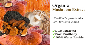 Faitury Wholesale Bulk Organic Agaricus Blazei Murill Mushroom <strong>Extract</strong> <strong>Powder</strong> - Product Image 3