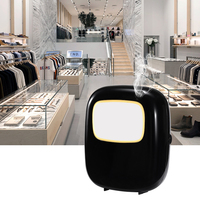 Diffuseur de parfum électrique personnalisé 250 ml, équipement d'aromathérapie commercial, machine à parfum pour villa