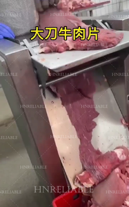 Viande fraîche ombre mince faire de l'équipement couper des tranches commerciales fabrication de poulet transformation couper des tranches Machine pour chien bœuf séché - Product Image 4