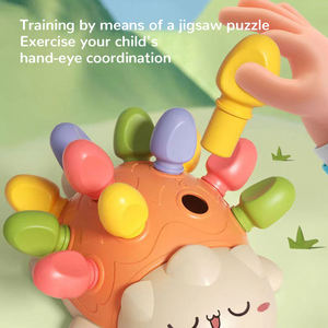 Jouets de tri des couleurs hérisson pour bébé de 6 mois et plus, développement sensoriel et motricité fine, jeu d'insertion et d'extraction, cadeau éducatif - Product Image 5