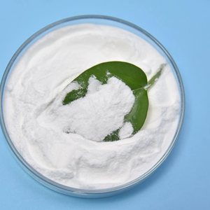 Lactobacillus fermentum thành phần thực phẩm từ Trung Quốc đông khô Probiotics bột nhà sản xuất ban đầu - Product Image 1