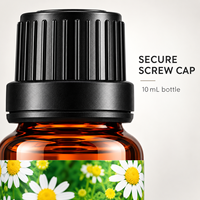 Huile Essentielle de Camomille 10ml pour Aromathérapie, Diffuseur, Massage, Soin de la Peau – OEM, ODM, Marque Privée, Logo Personnalisé, Vente en Gros, Carton