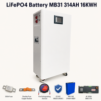 Kit de boîtier de batterie LiFePO4 DIY 48V 51.2V 16S 280Ah 314Ah 16kWh avec rack métallique et BMS V19 200A pour système solaire domestique ESS